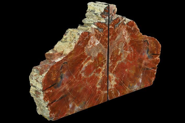 Tall, Colorful Arizona Petrified Wood Bookends - Red #86195